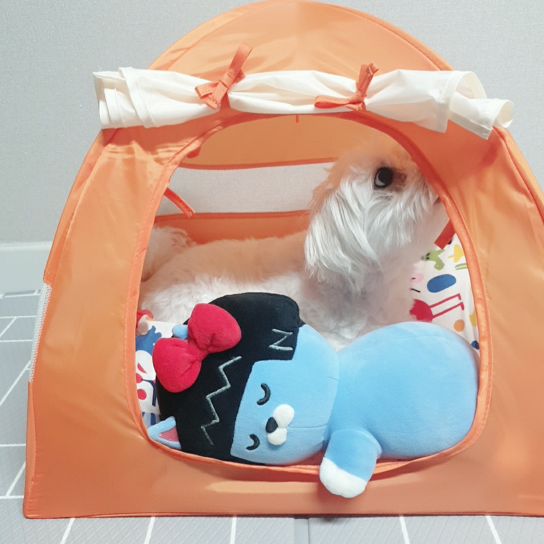 5841777님의 스타일 - 2