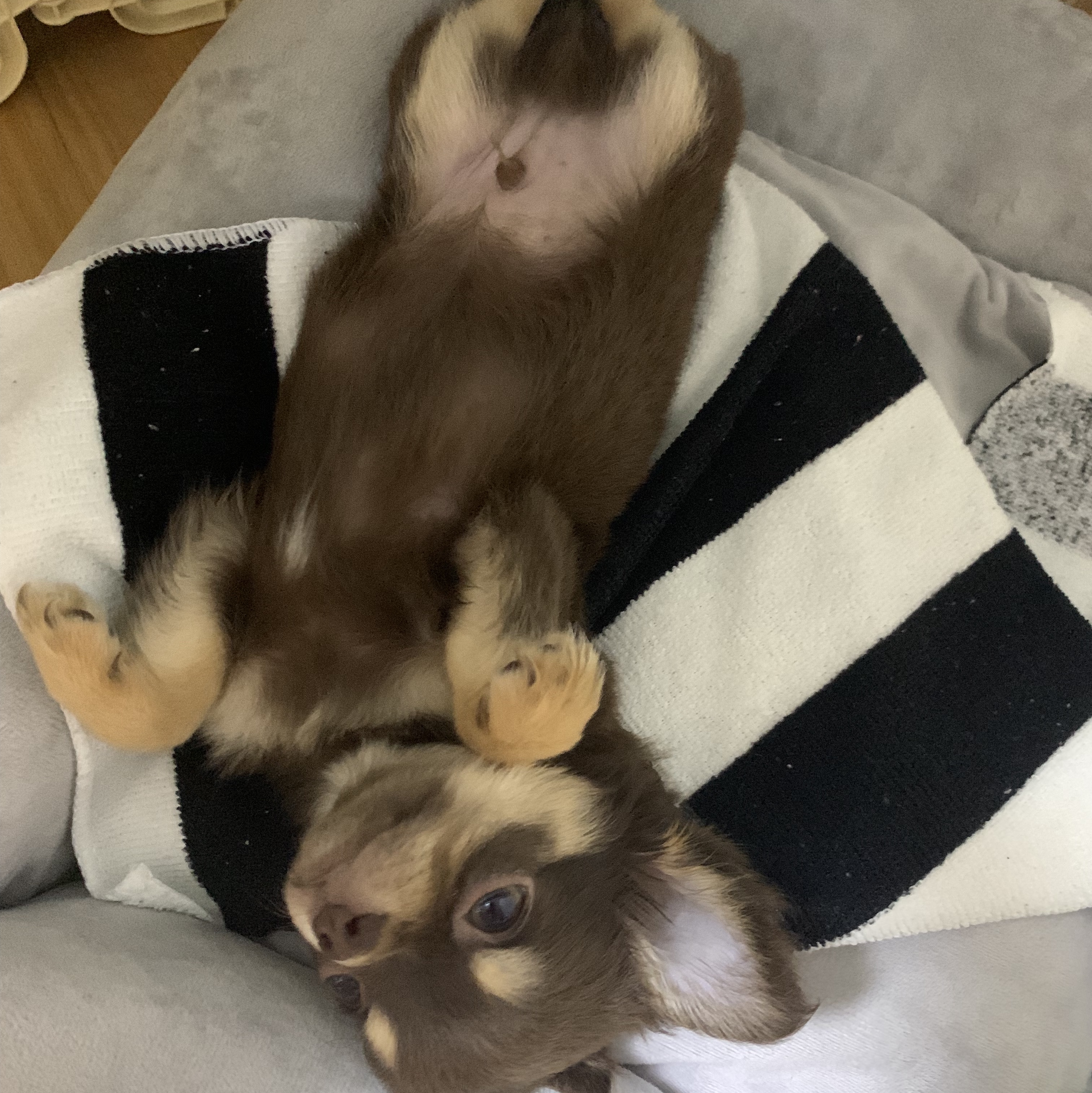 chris.kim._님의 스타일 - 4