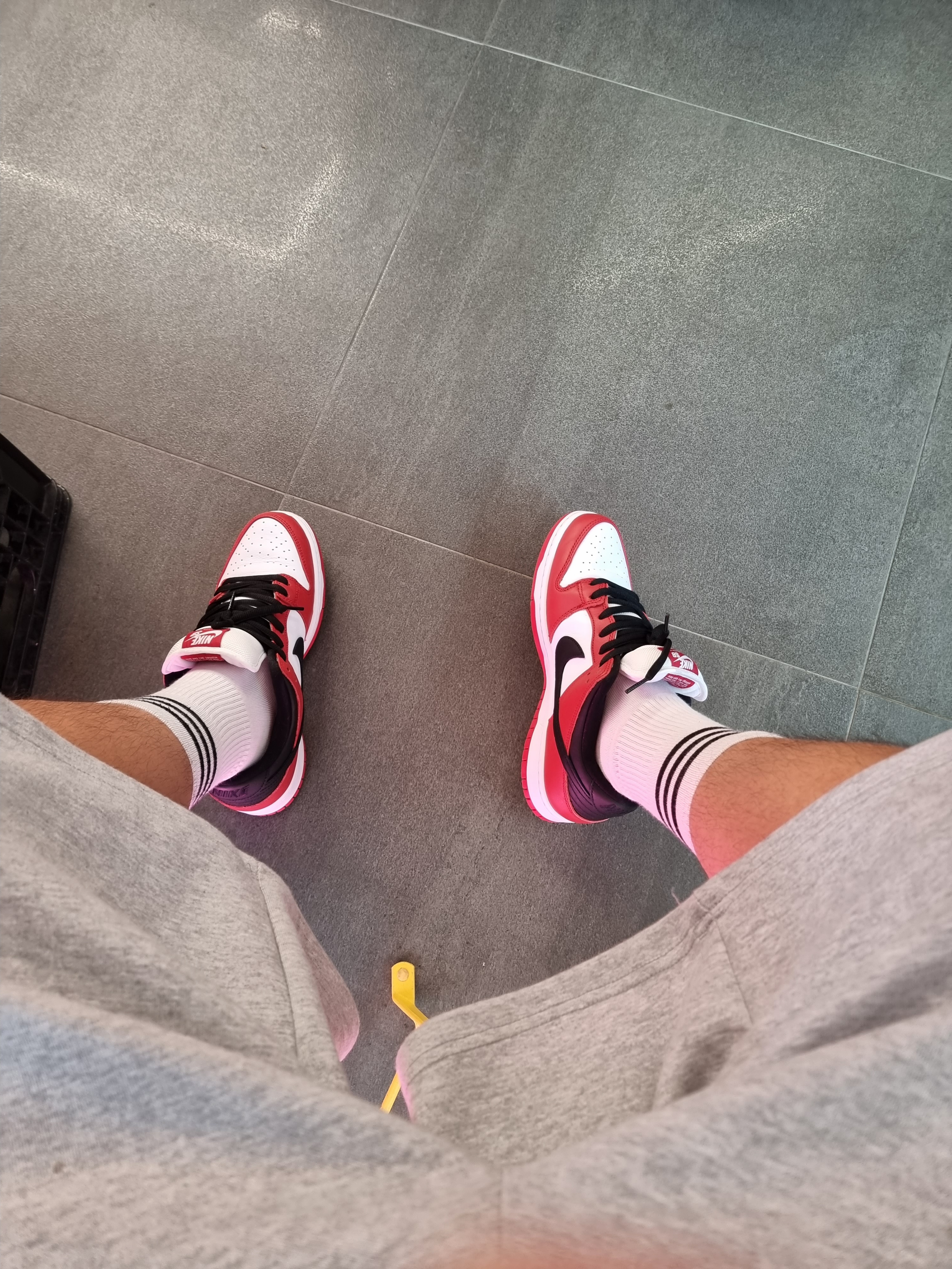 Nike SB Dunk Low Pro Chicago 착용 스타일