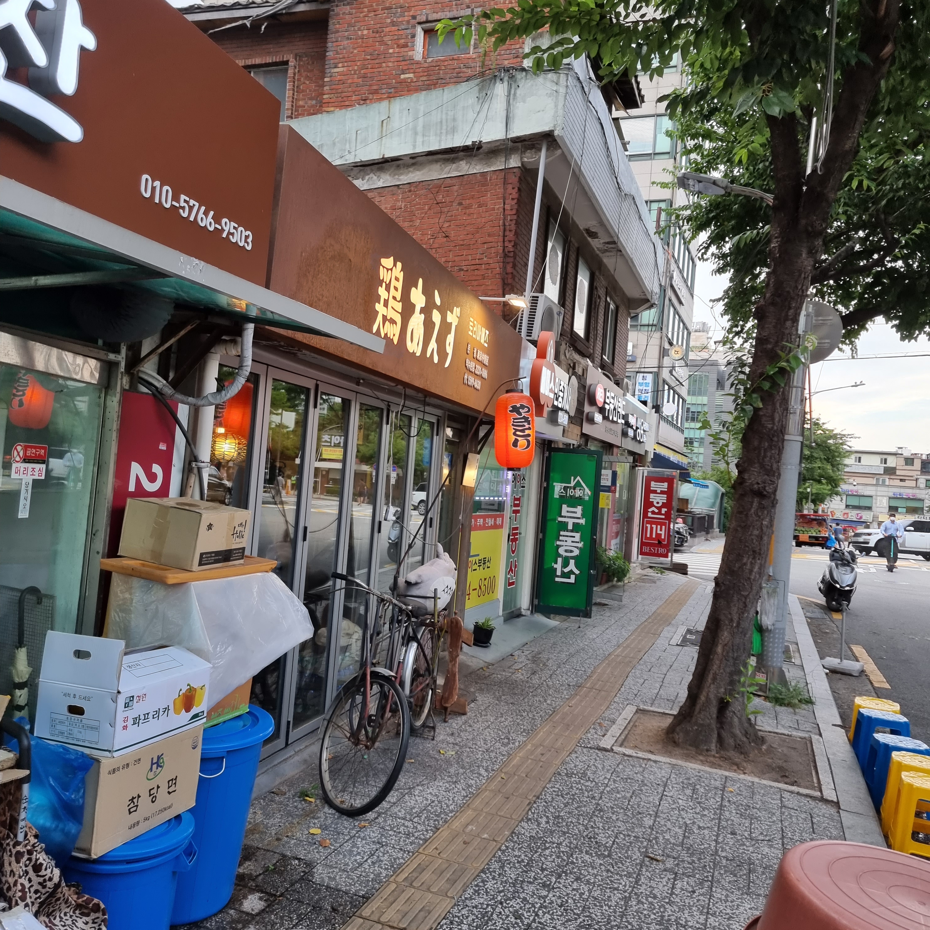 noxboom님의 스타일 - 1