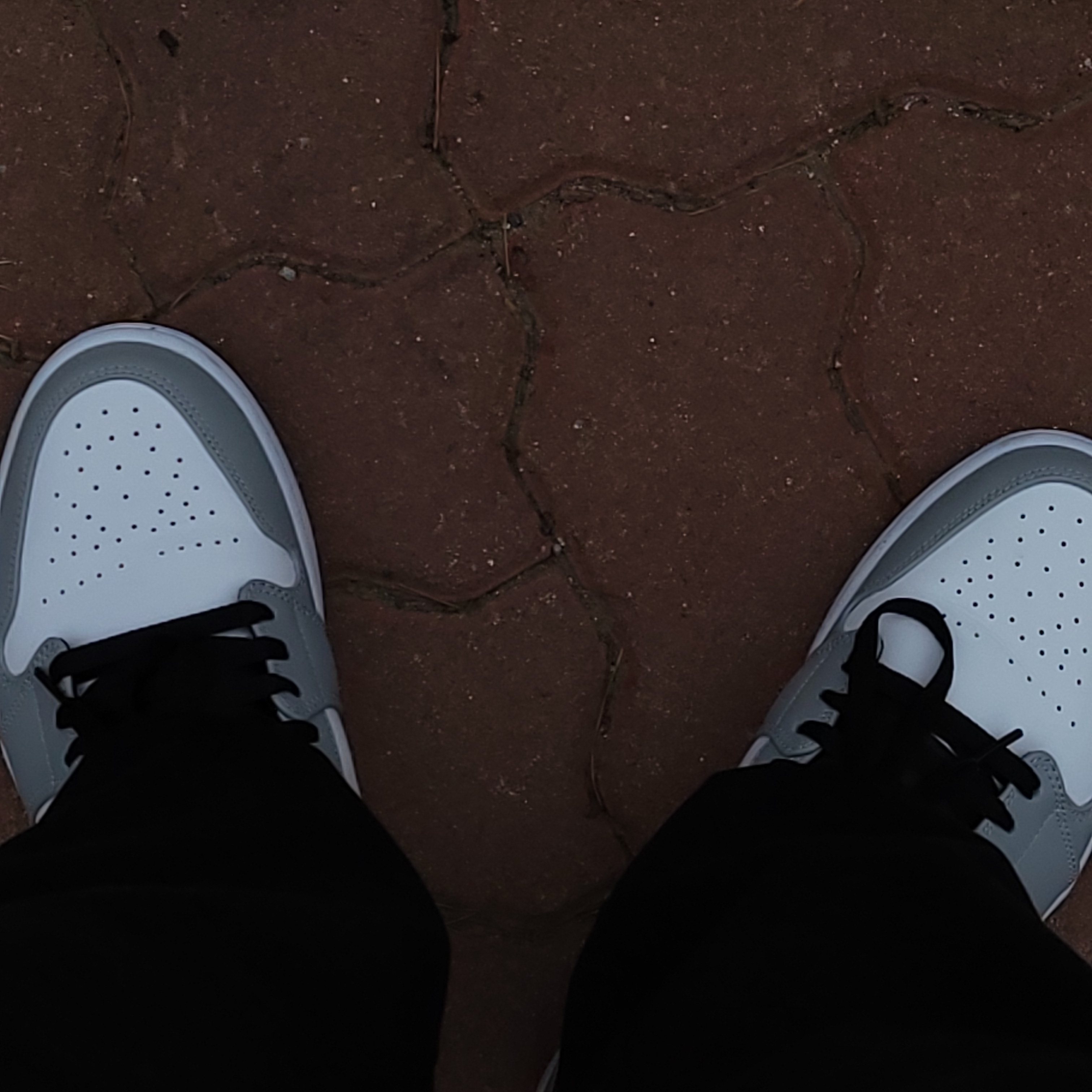 Jordan 1 Low Light Smoke Grey 착용 스타일 - 3