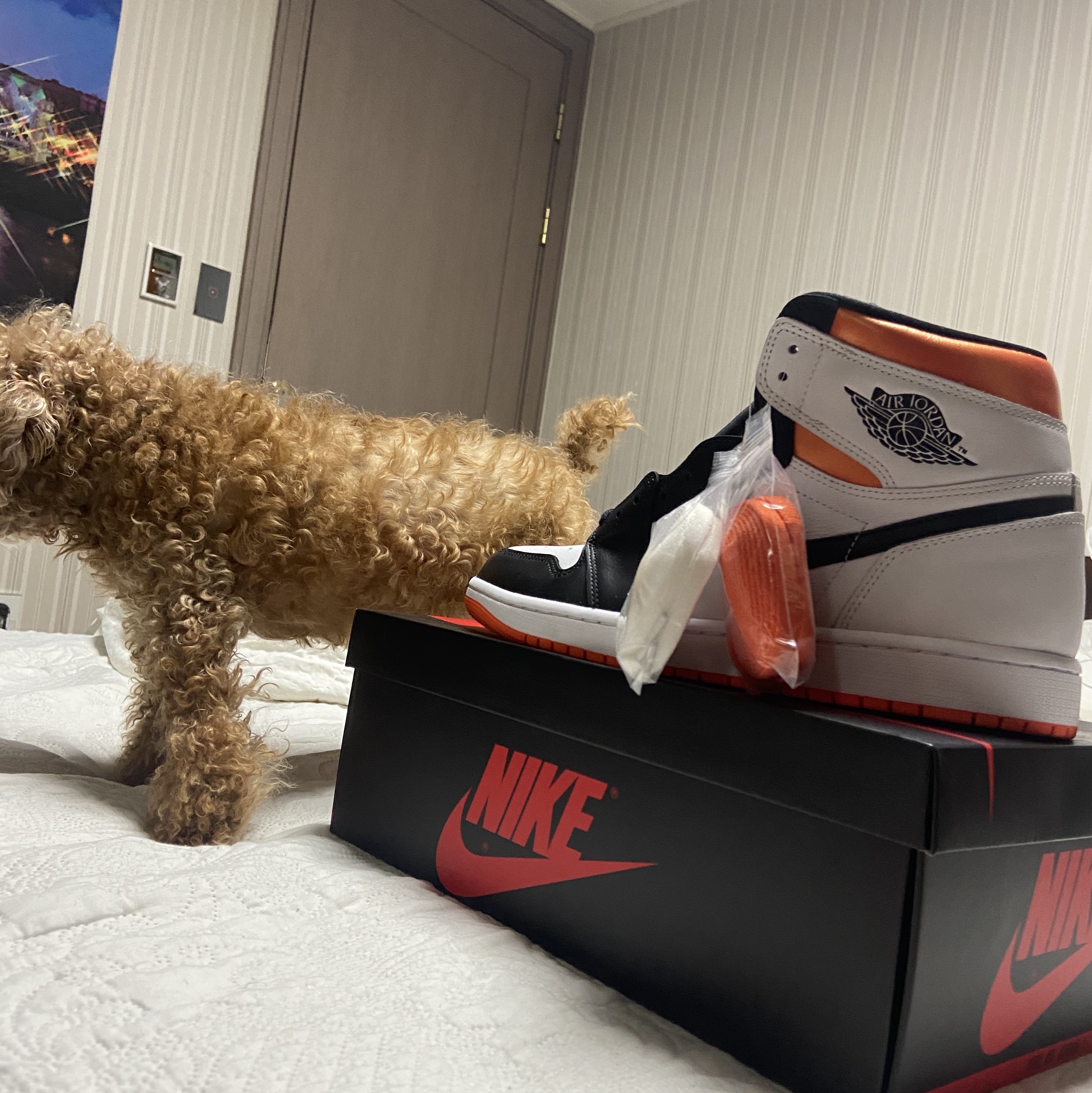 Jordan 1 Retro High OG Electro Orange 착용 스타일