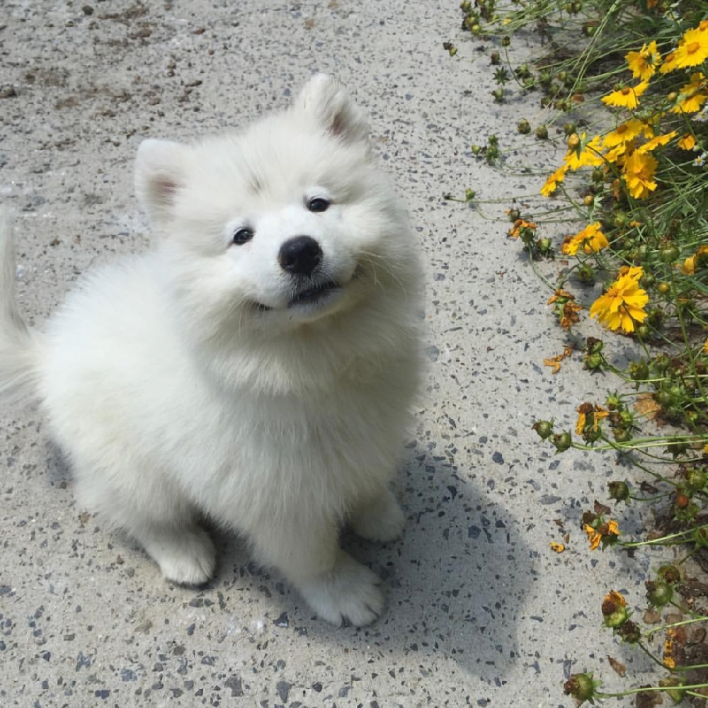 관심 유저 프로필 이미지