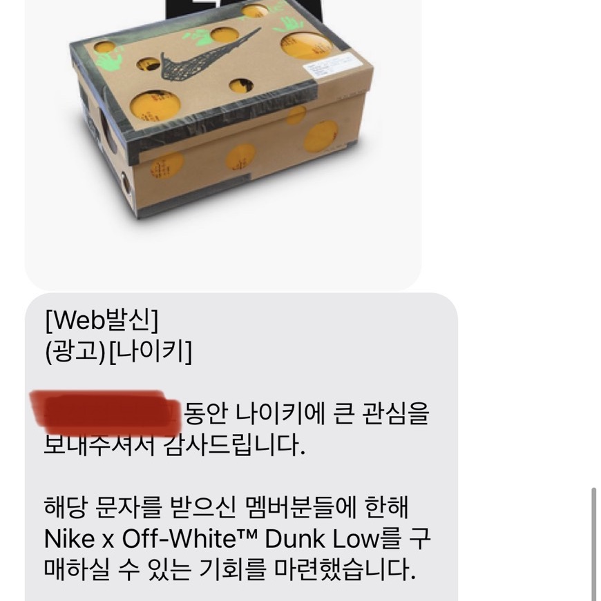 Nike x Off-White Dunk Low The 50 - Lot 18 착용 스타일