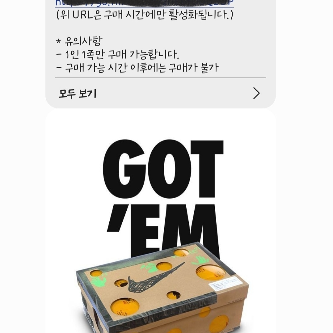 지규디님의 스타일