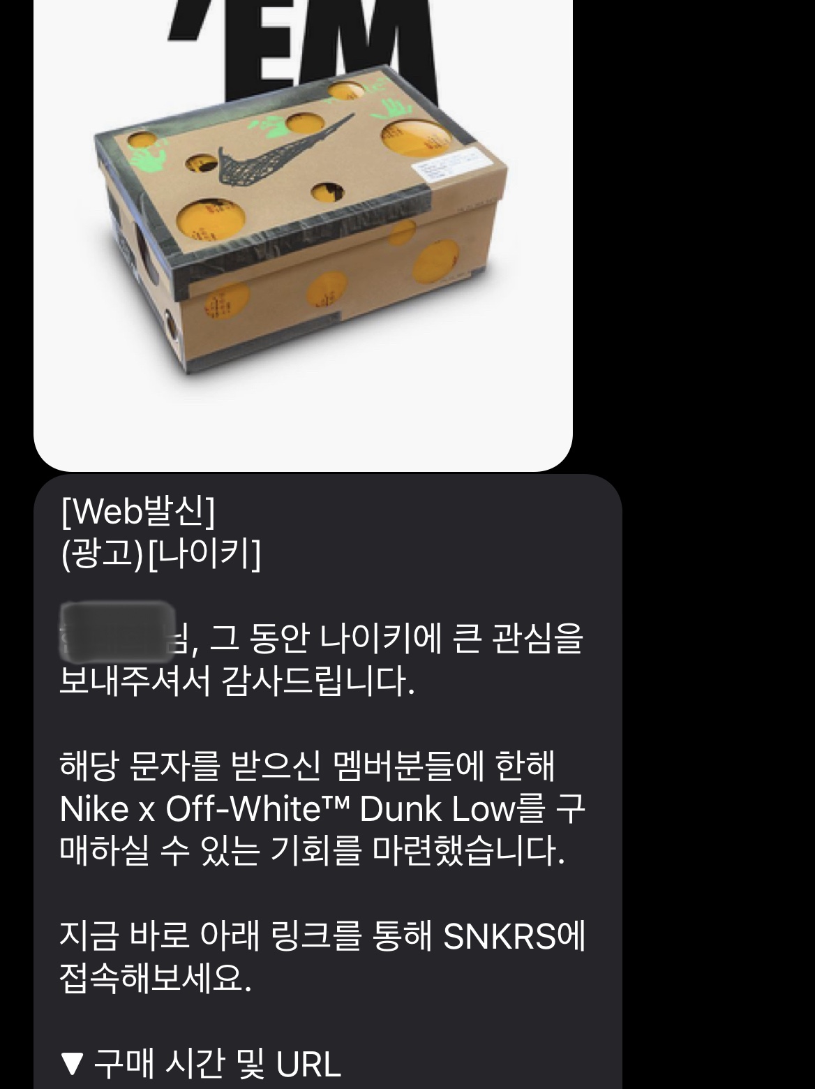 Nike x Off-White Dunk Low The 50 - Lot 18 착용 스타일