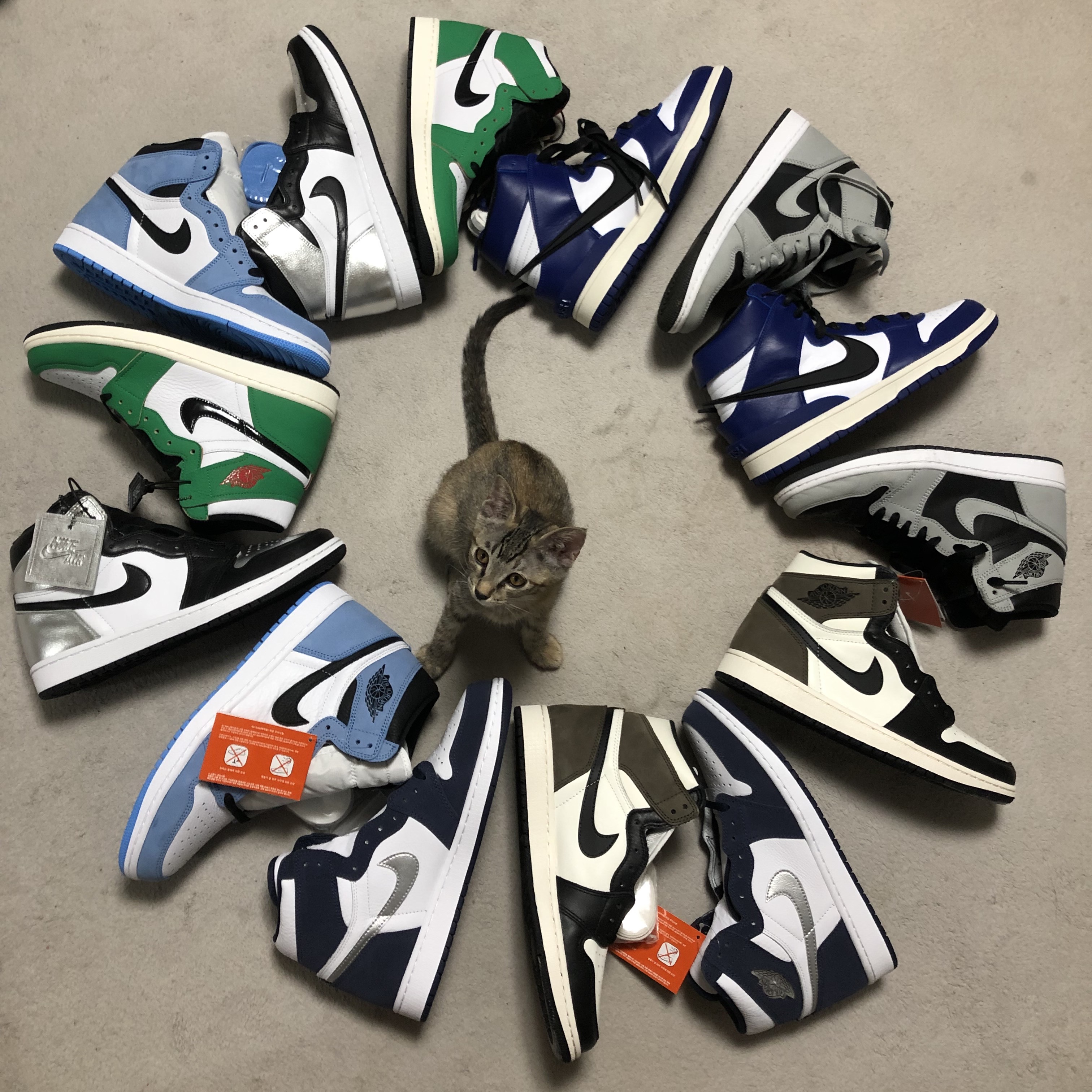 Jordan 1 Retro High OG Black Mocha, Jordan 1 Retro High OG CO.JP Midnight Navy 착용 스타일