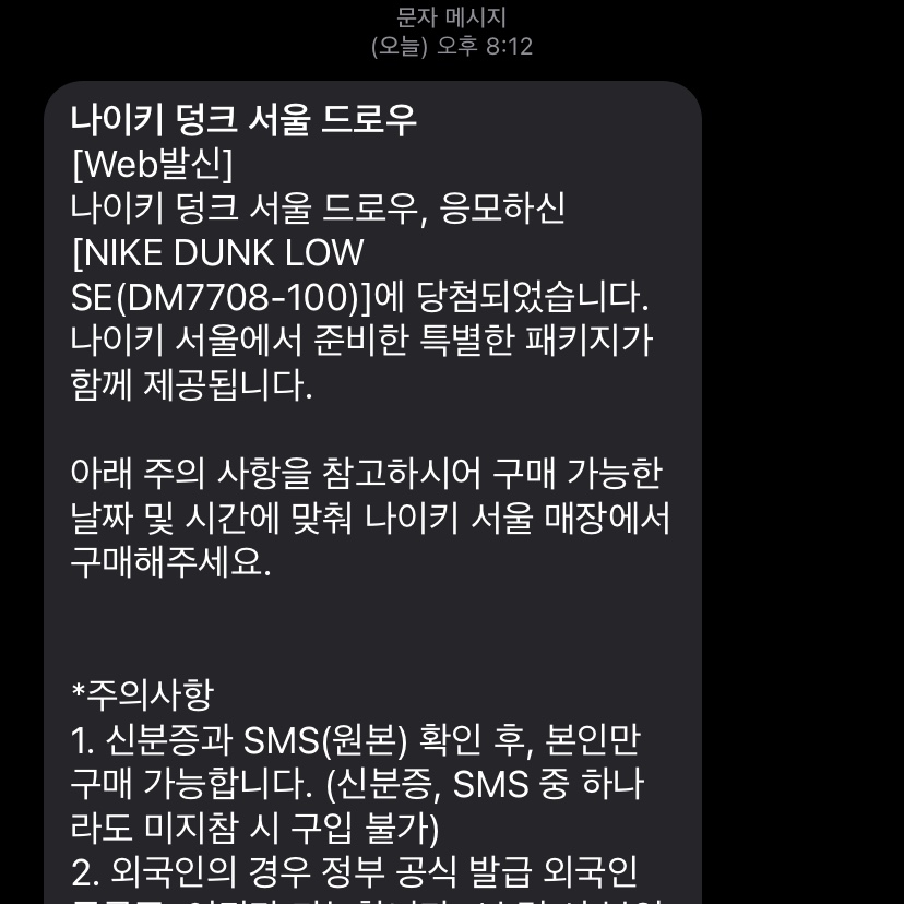 Nike Dunk Low SE Seoul 착용 스타일