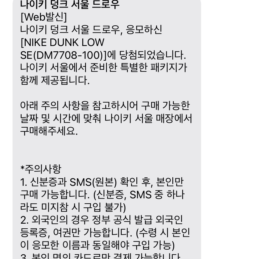 Nike Dunk Low SE Seoul 착용 스타일