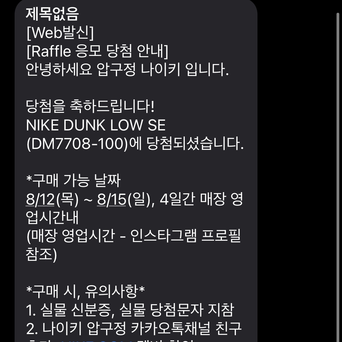 Nike Dunk Low SE Seoul 착용 스타일