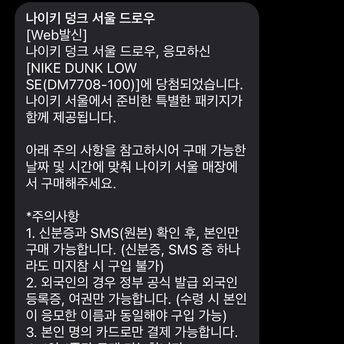 Nike Dunk Low SE Seoul 착용 스타일