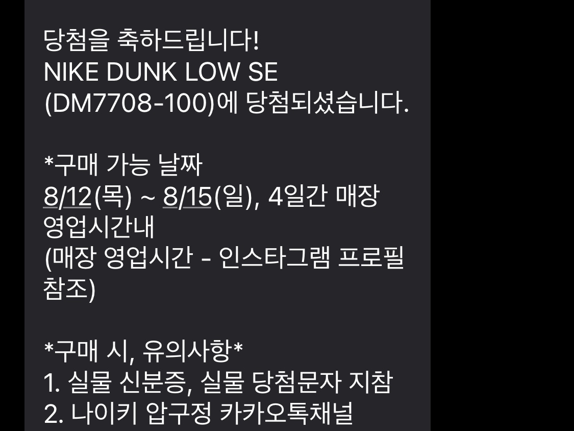 Nike Dunk Low SE Seoul 착용 스타일