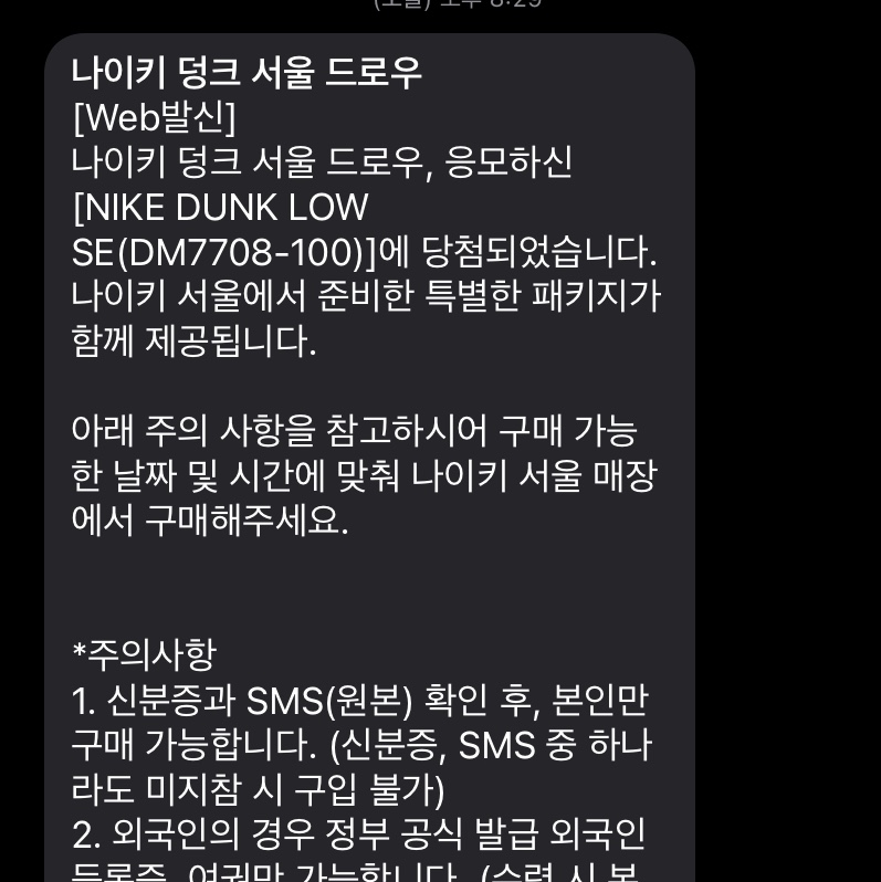 Nike Dunk Low SE Seoul (With Special Gift) 착용 스타일