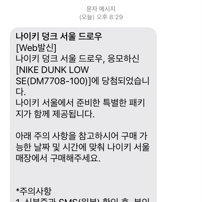 Nike Dunk Low SE Seoul (With Special Gift) 착용 스타일
