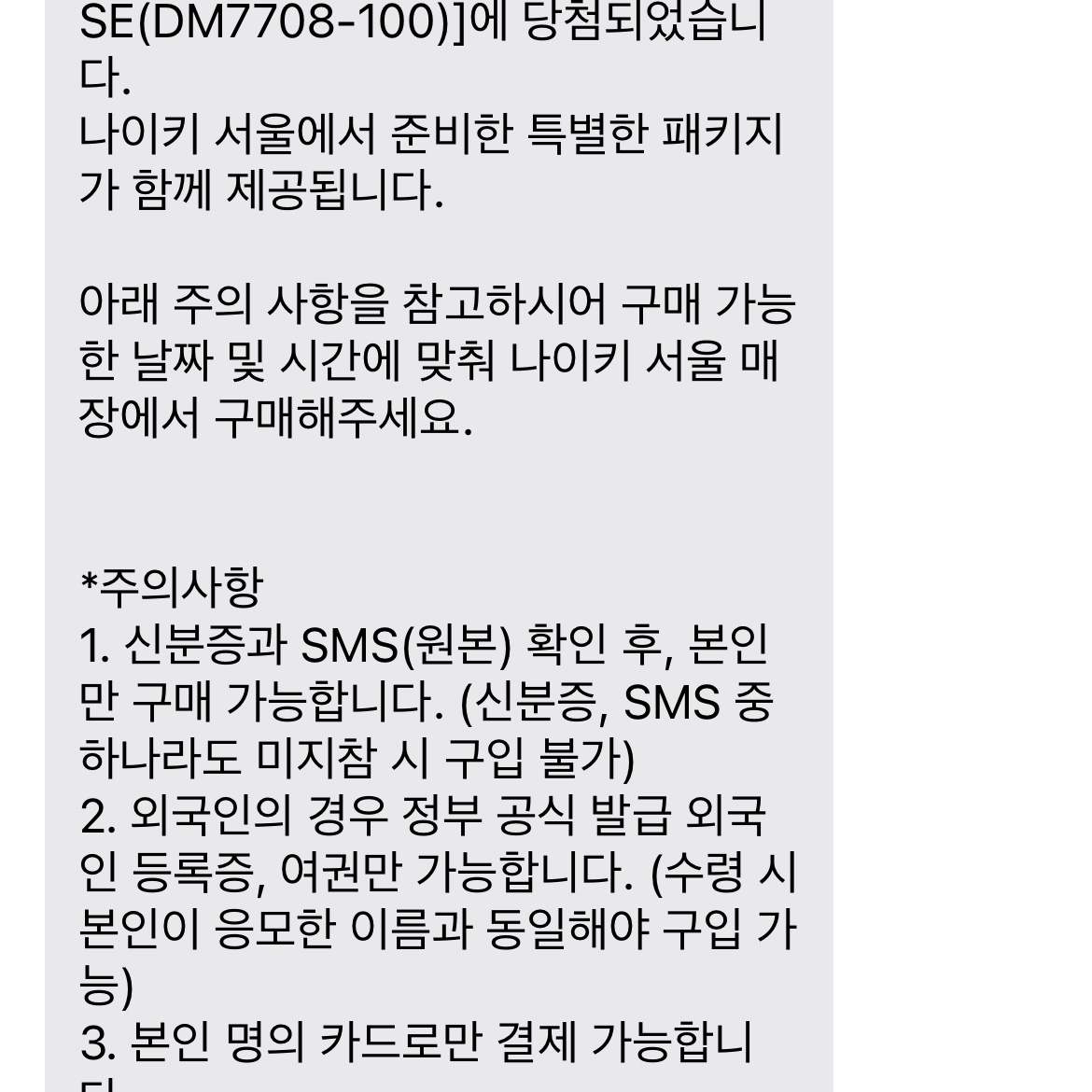 Nike Dunk Low SE Seoul (With Special Gift) 착용 스타일
