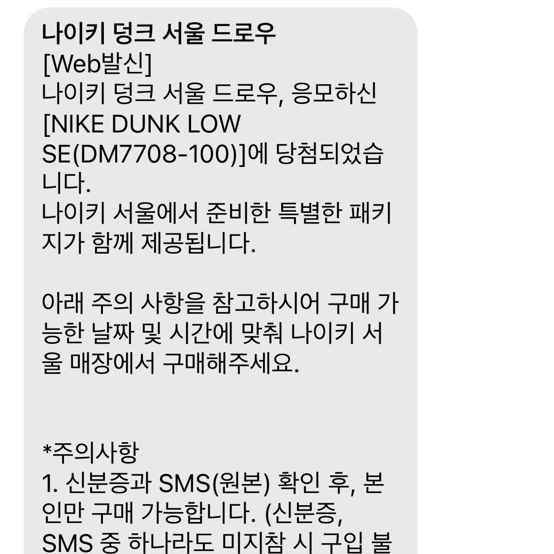 Nike Dunk Low SE Seoul (With Special Gift) 착용 스타일