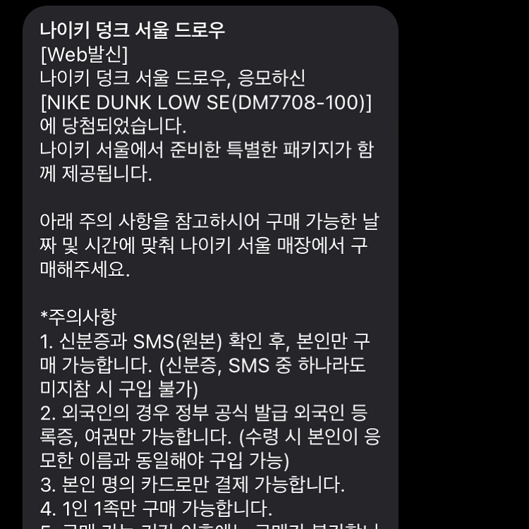 Nike Dunk Low SE Seoul (With Special Gift) 착용 스타일