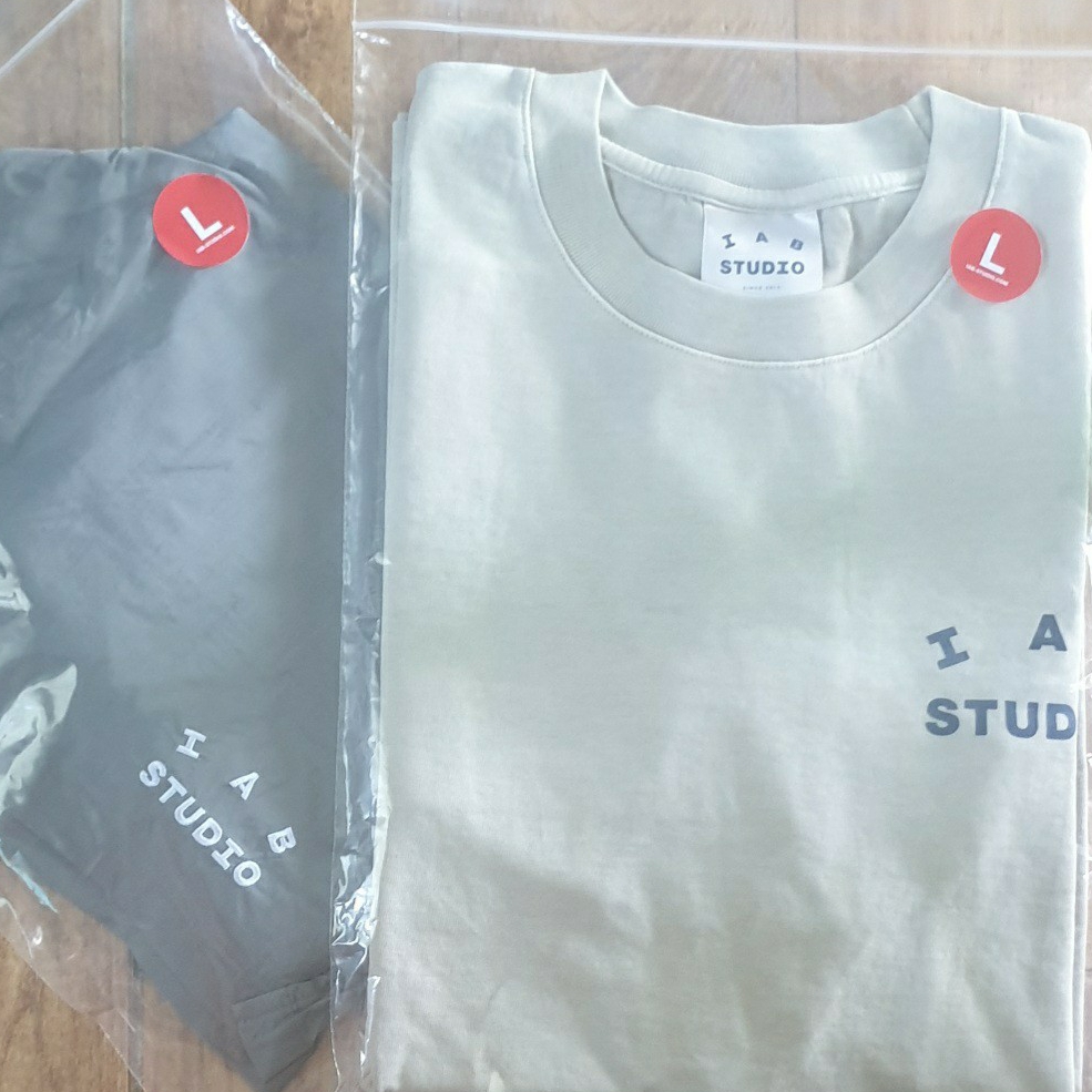 IAB Studio Woven Shorts Gray, IAB Studio Pigment T-Shirt Oatmeal 착용 스타일