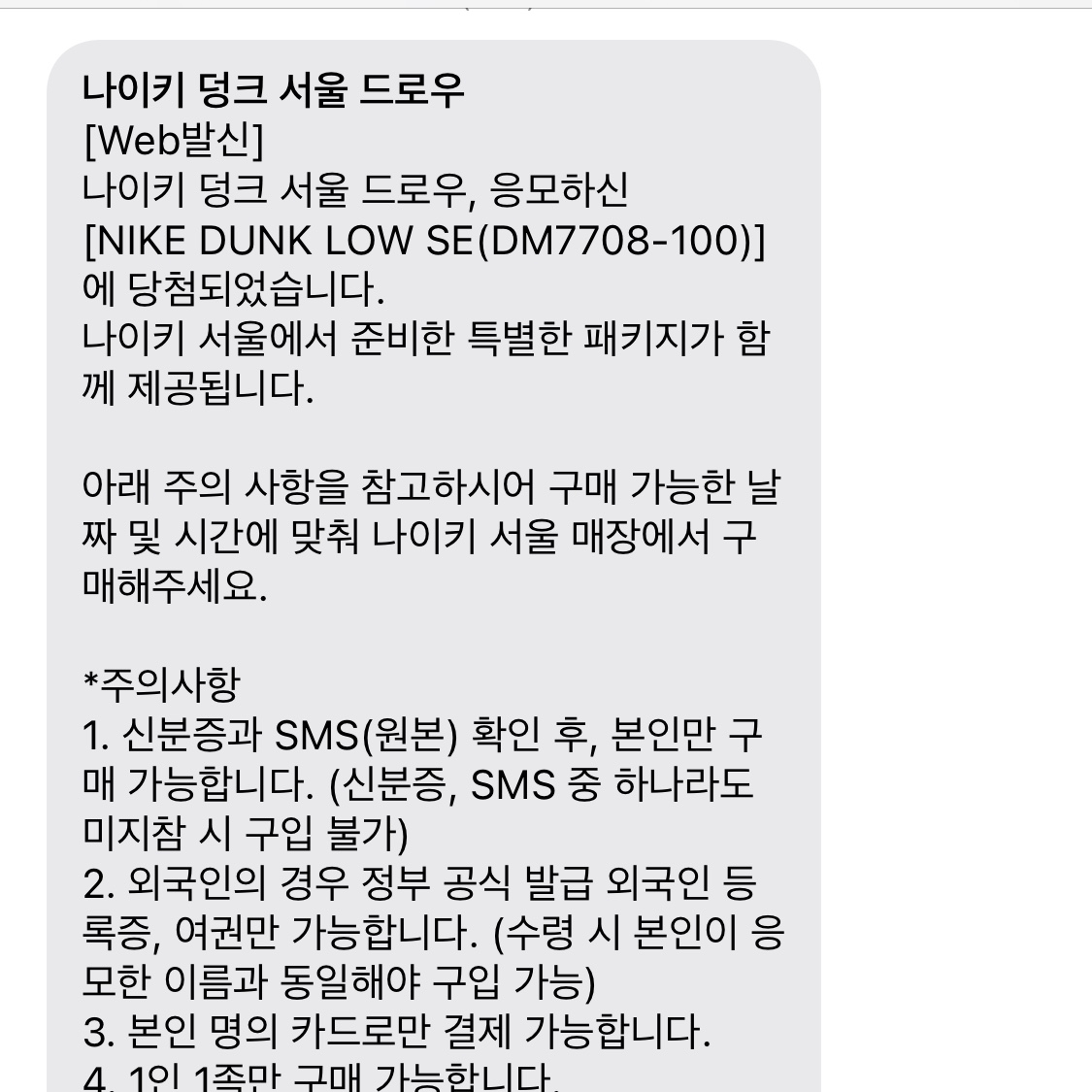 Nike Dunk Low SE Seoul (With Special Gift) 착용 스타일