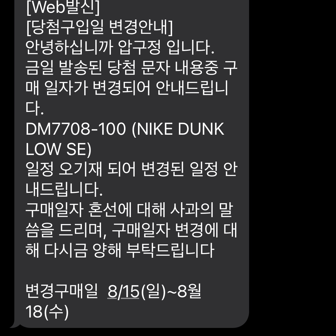 Nike Dunk Low SE Seoul 착용 스타일 - 1