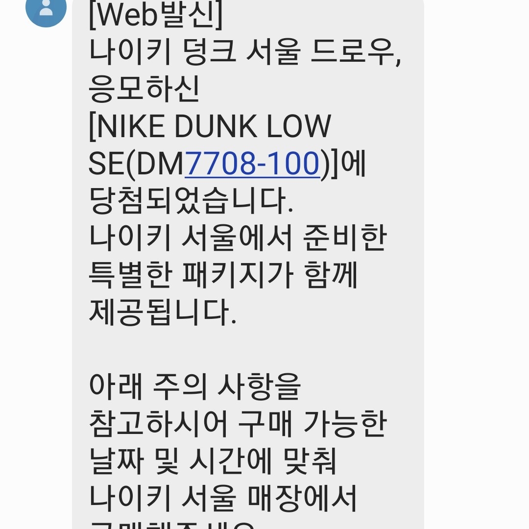 Nike Dunk Low SE Seoul (With Special Gift), Nike Dunk Low SE Seoul 착용 스타일
