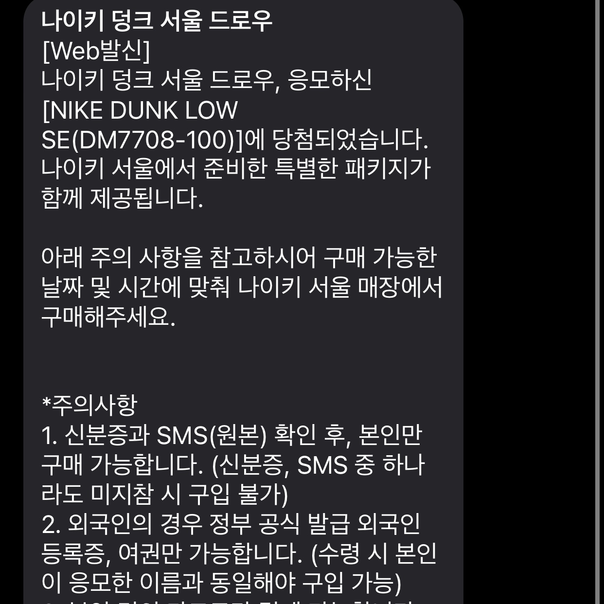 Nike Dunk Low SE Seoul, Nike Dunk Low SE Seoul (With Special Gift) 착용 스타일