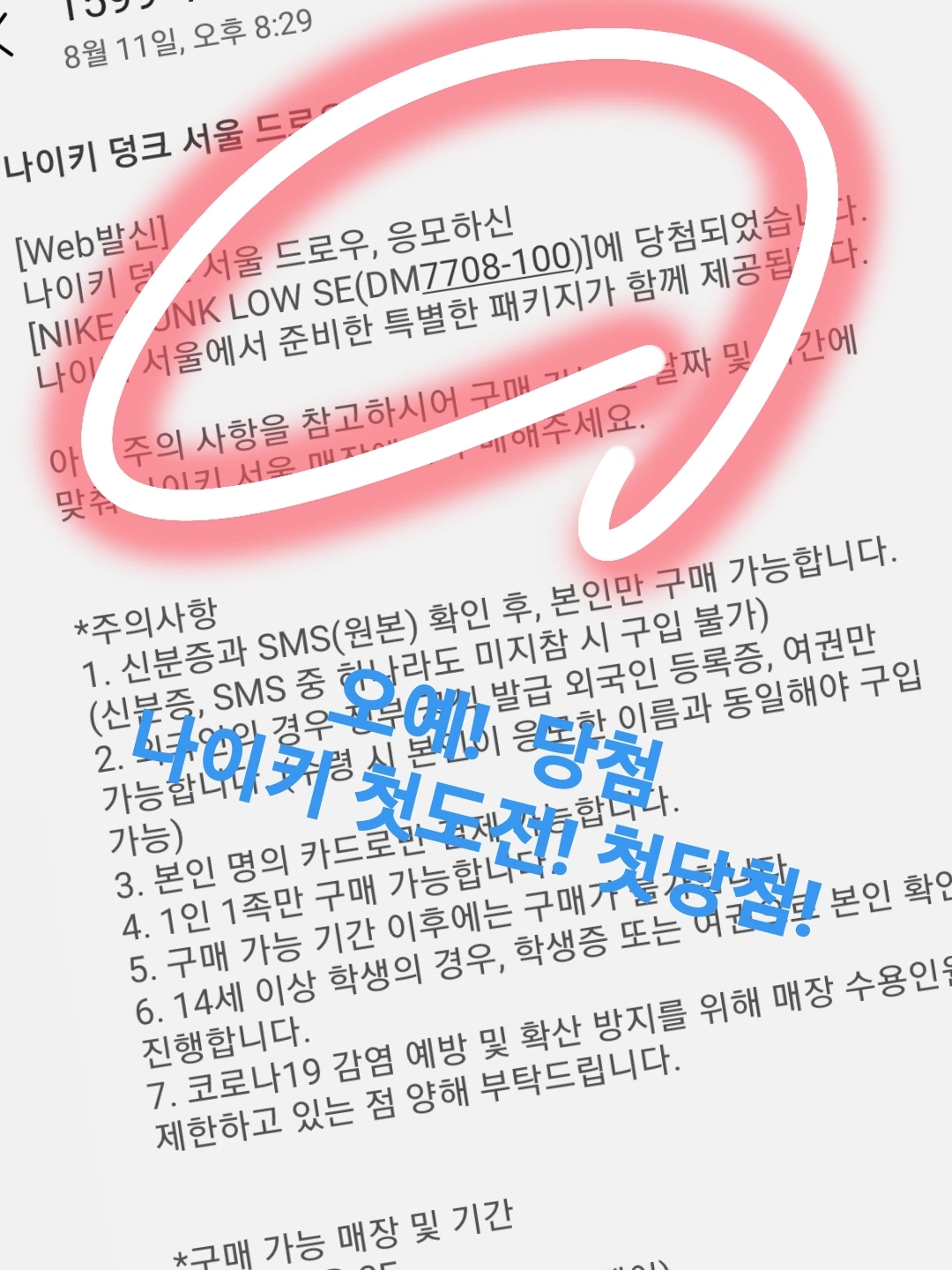 Nike Dunk Low SE Seoul (With Special Gift) 착용 스타일