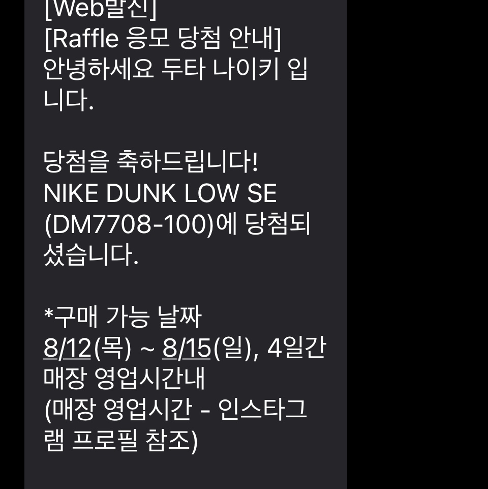 Nike Dunk Low SE Seoul 착용 스타일 - 1
