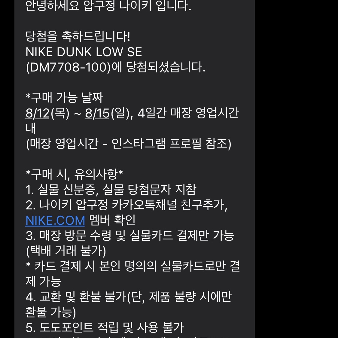 Nike Dunk Low SE Seoul 착용 스타일