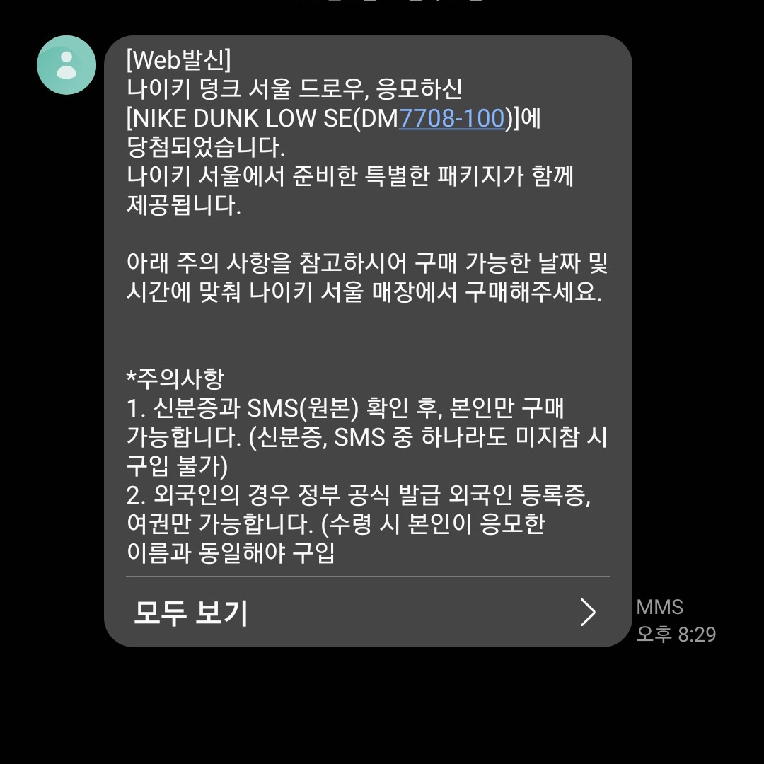 Nike Dunk Low SE Seoul (With Special Gift) 착용 스타일