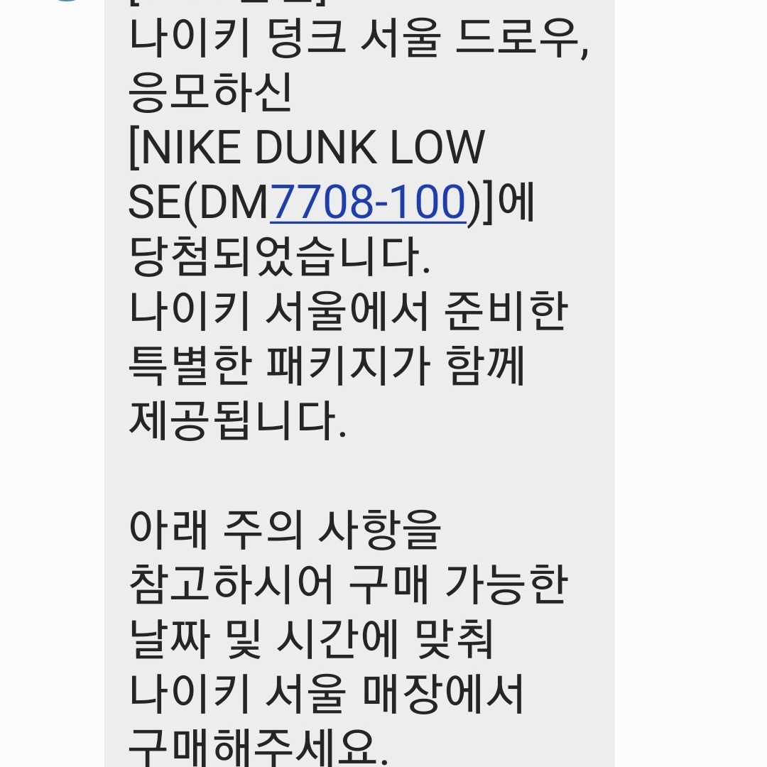 Nike Dunk Low SE Seoul (With Special Gift), Nike Dunk Low SE Seoul 착용 스타일
