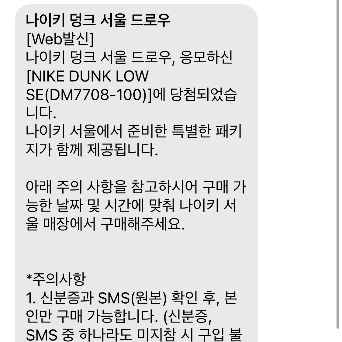 Nike Dunk Low SE Seoul (With Special Gift) 착용 스타일