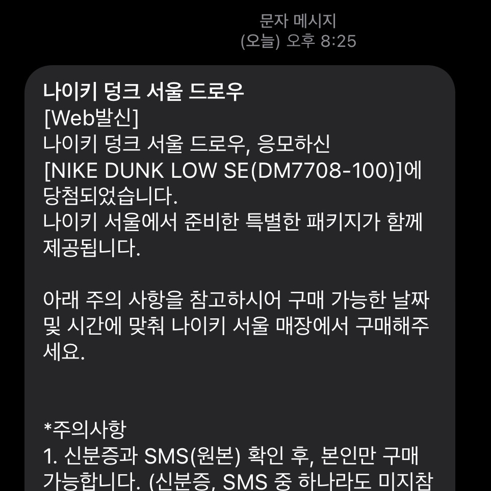 Nike Dunk Low SE Seoul (With Special Gift) 착용 스타일