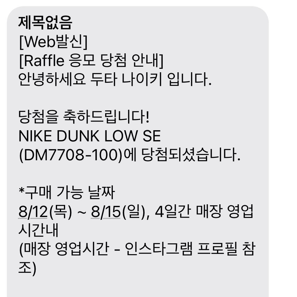 Nike Dunk Low SE Seoul 착용 스타일