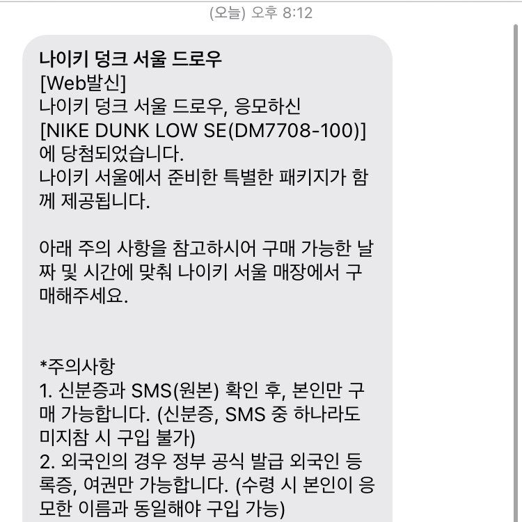 Nike Dunk Low SE Seoul (With Special Gift) 착용 스타일