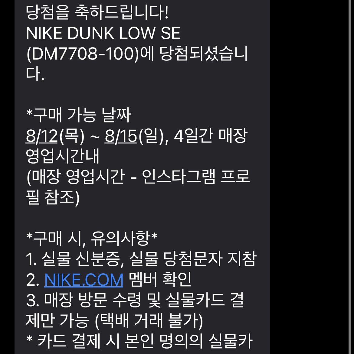 Nike Dunk Low SE Seoul 착용 스타일