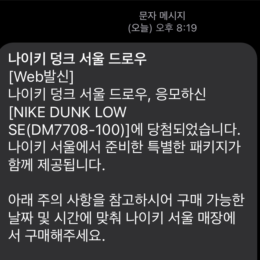 Nike Dunk Low SE Seoul, Nike Dunk Low SE Seoul (With Special Gift) 착용 스타일