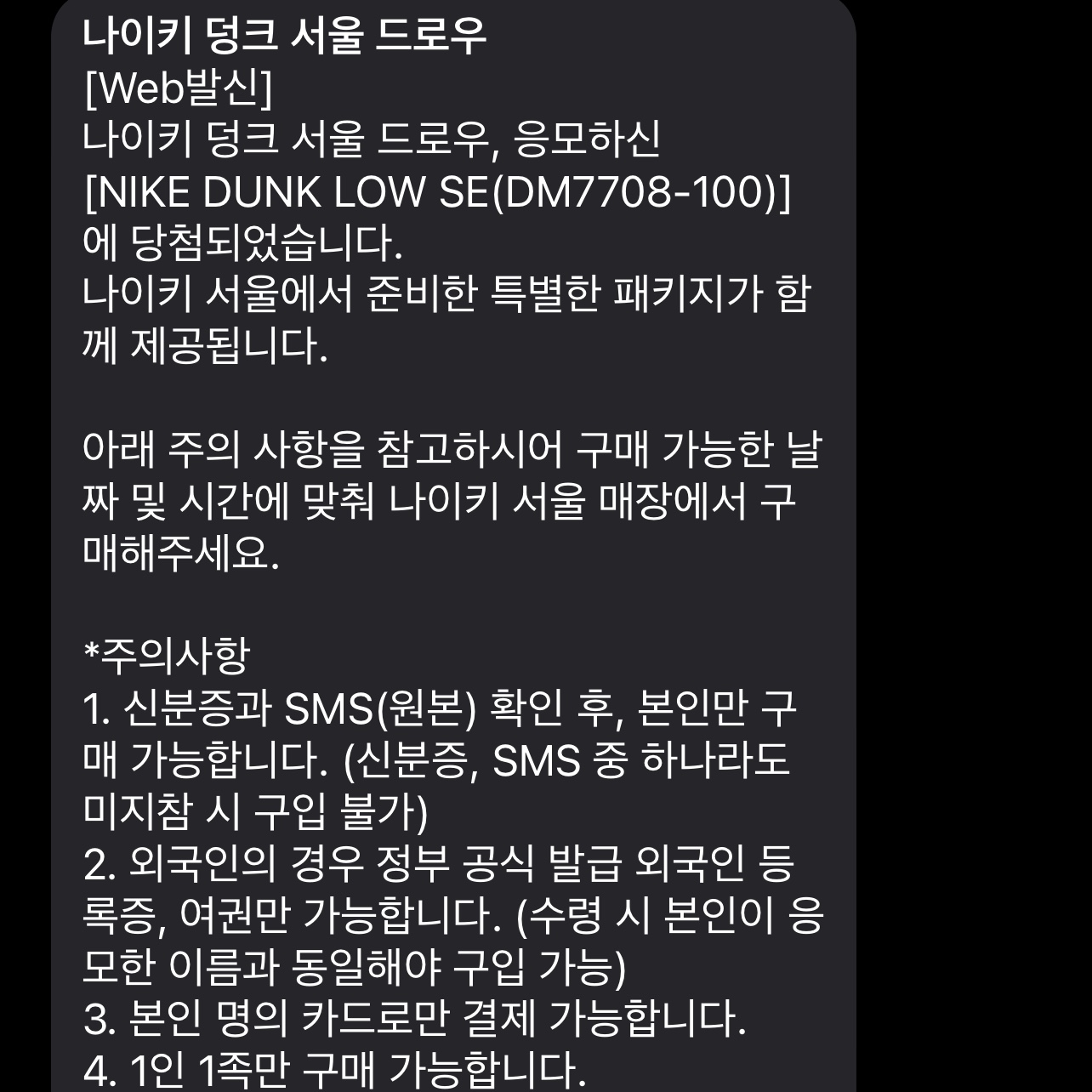 Nike Dunk Low SE Seoul (With Special Gift) 착용 스타일