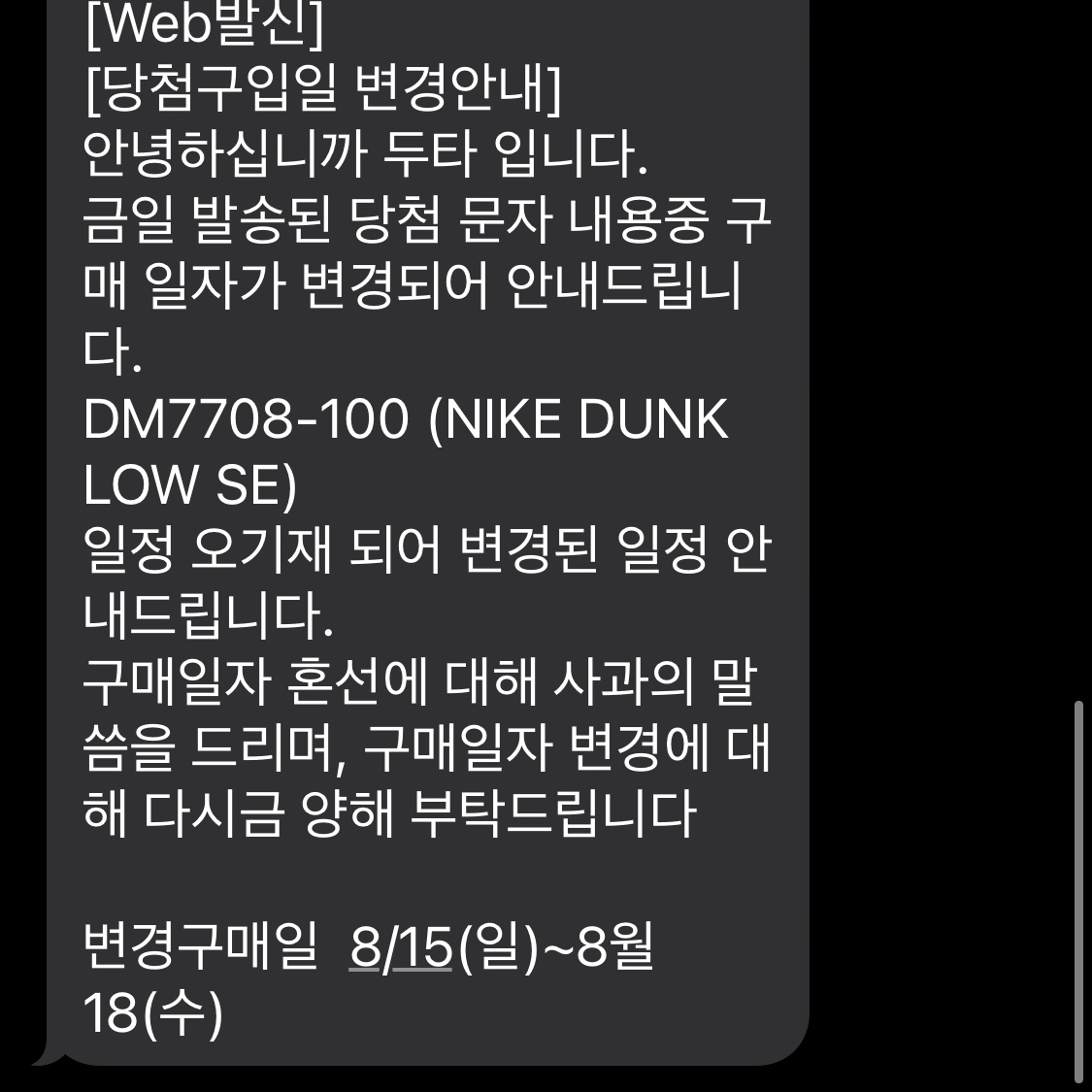 Nike Dunk Low SE Seoul 착용 스타일 - 2