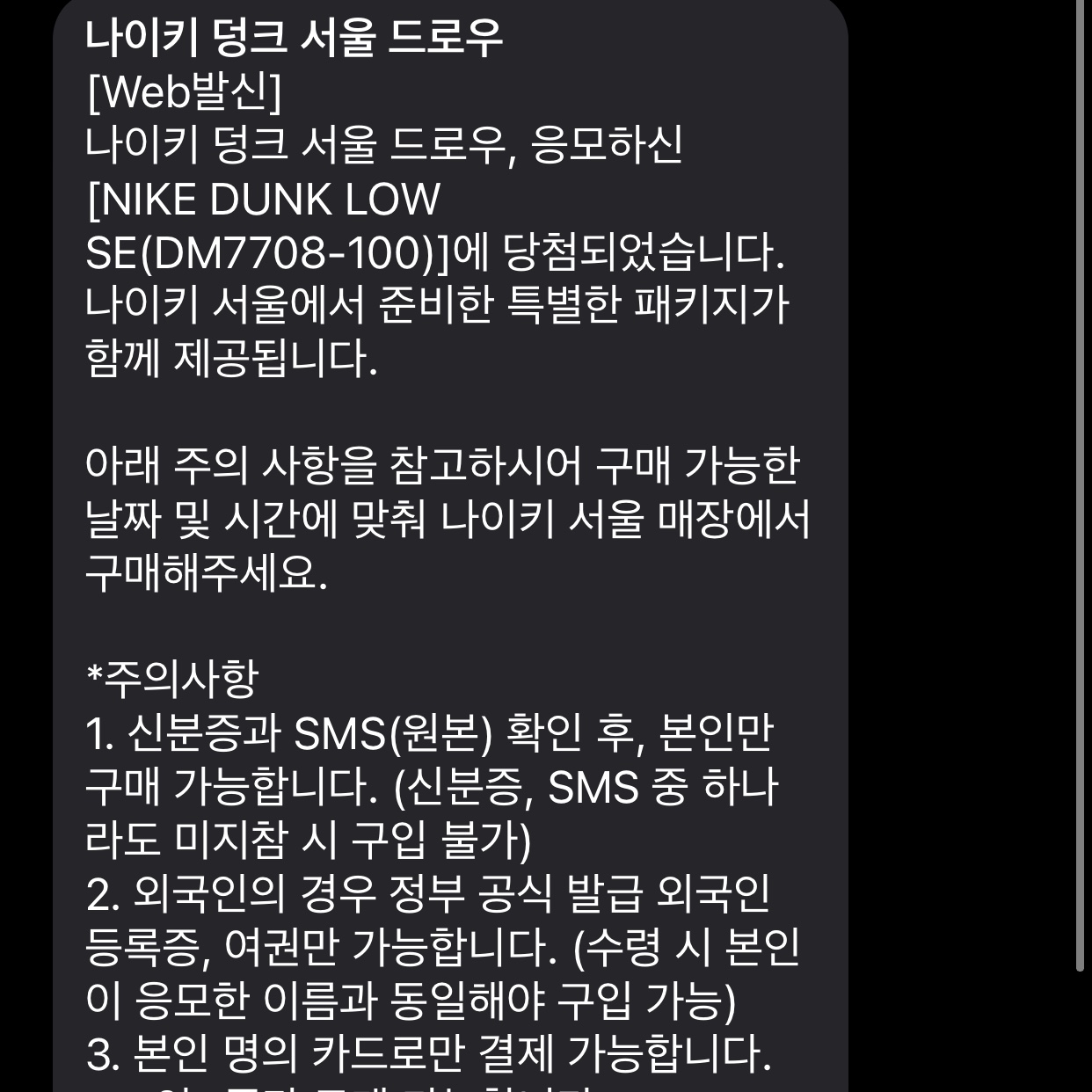 Nike Dunk Low SE Seoul (With Special Gift) 착용 스타일