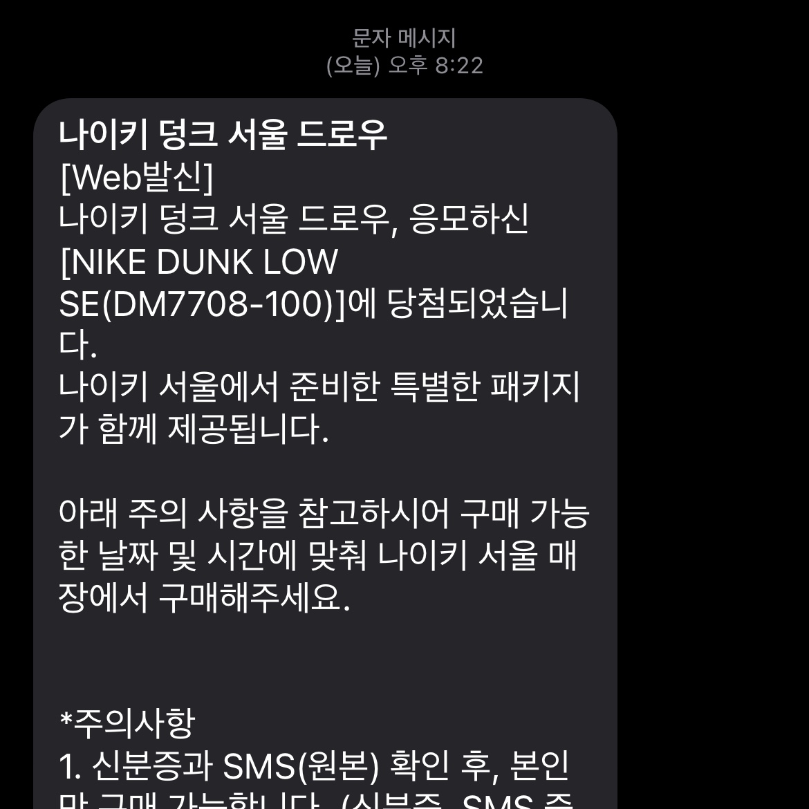 Nike Dunk Low SE Seoul (With Special Gift) 착용 스타일