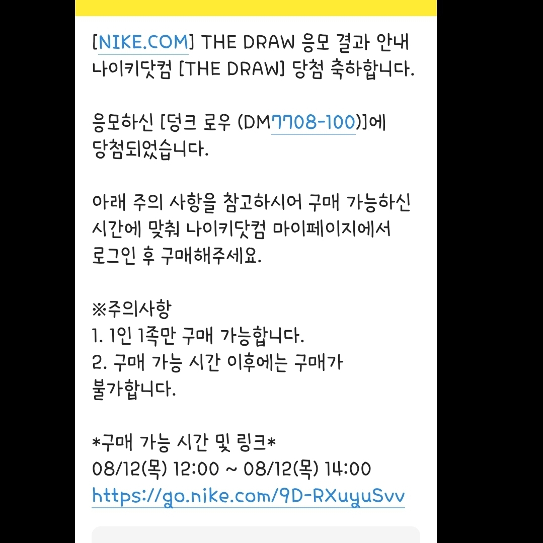 Nike Dunk Low SE Seoul 착용 스타일