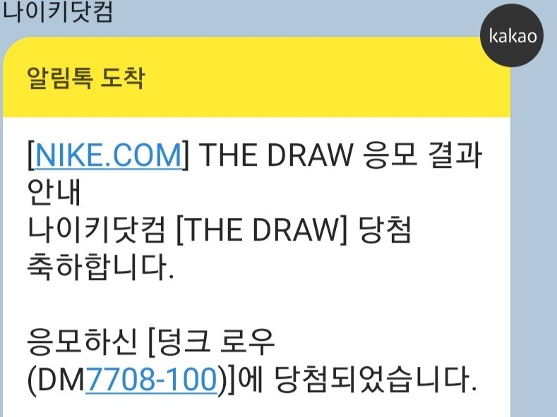 Nike Dunk Low SE Seoul 착용 스타일