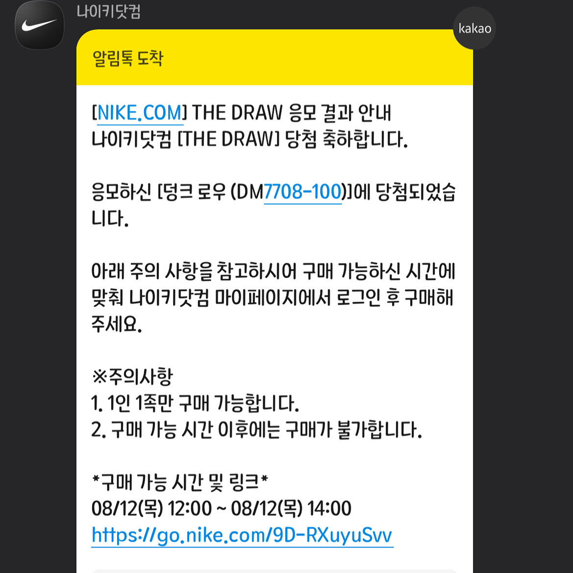 Nike Dunk Low SE Seoul 착용 스타일