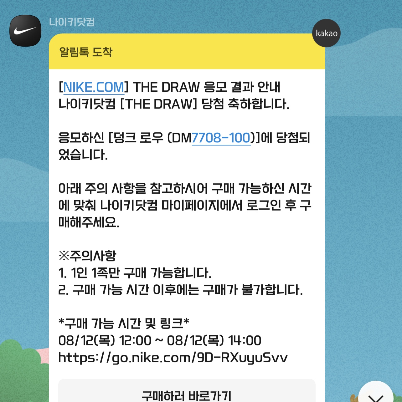 Nike Dunk Low SE Seoul 착용 스타일