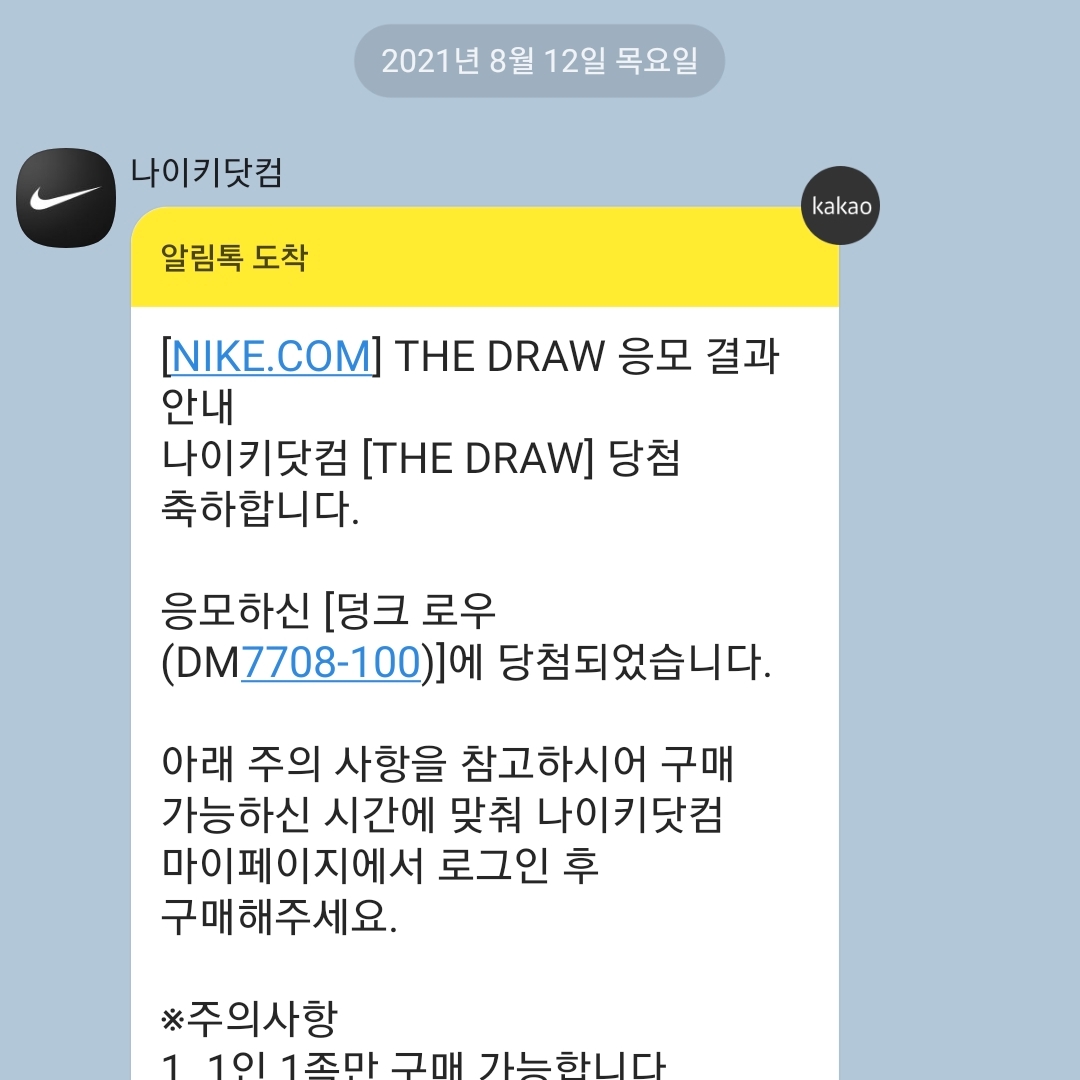 Nike Dunk Low SE Seoul 착용 스타일 - 1