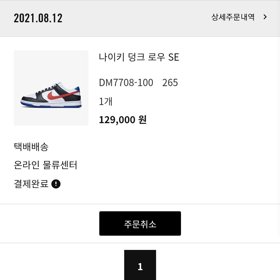 Nike Dunk Low SE Seoul 착용 스타일 - 2