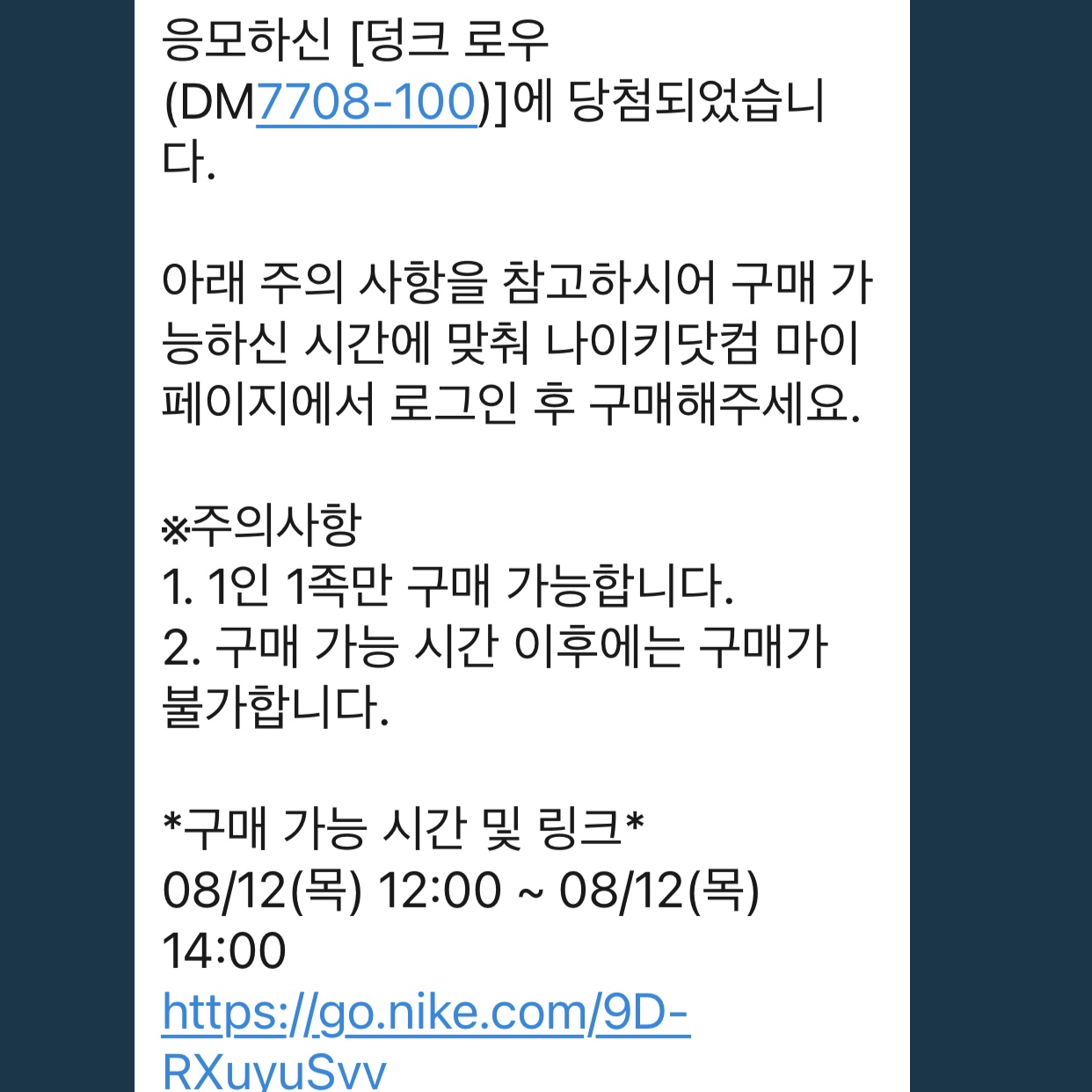 Nike Dunk Low SE Seoul 착용 스타일
