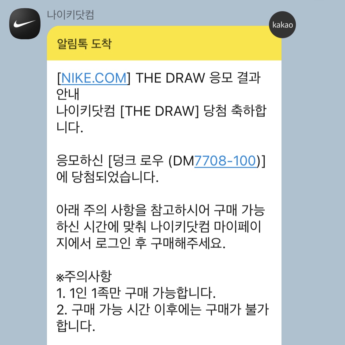 Nike Dunk Low SE Seoul 착용 스타일