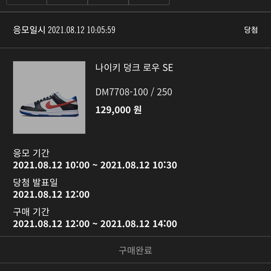 Nike Dunk Low SE Seoul 착용 스타일